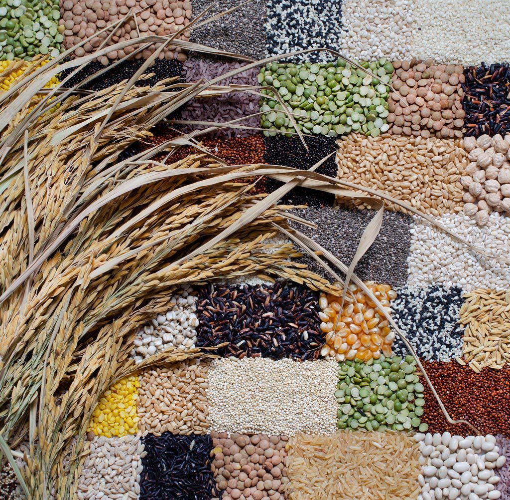 Commodities | Evolution Group